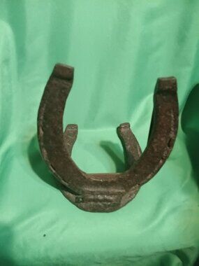 Antique Horse Shoe Picture Frame Large